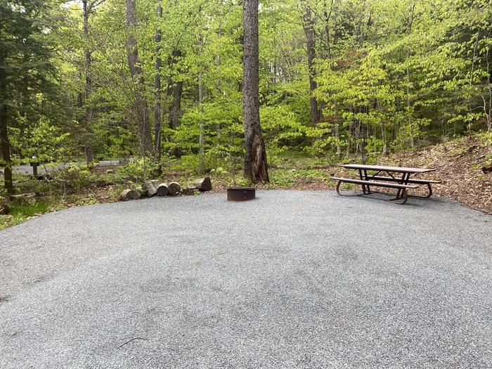 A photo of Site 004 of Loop HAPG at HAPGOOD POND with Picnic Table, Fire Pit, Shade