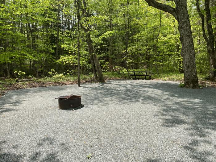 A photo of Site 002 of Loop HAPG at HAPGOOD POND with Picnic Table, Fire Pit, Shade