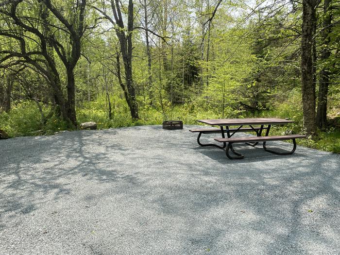 A photo of Site 020 of Loop HAPG at HAPGOOD POND with Picnic Table, Fire Pit, Shade