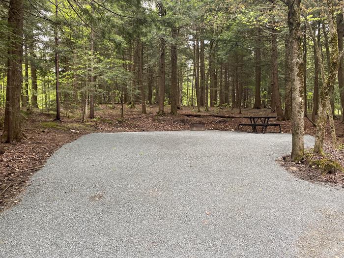 A photo of Site 015 of Loop HAPG at HAPGOOD POND with Picnic Table, Fire Pit, Shade