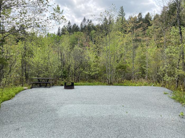 A photo of Site 010 of Loop HAPG at HAPGOOD POND with Picnic Table, Fire Pit, Shade