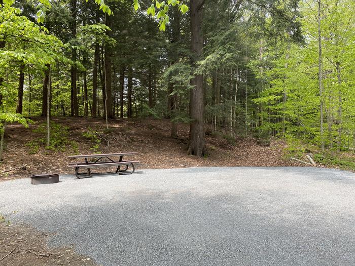 A photo of Site 022 of Loop HAPG at HAPGOOD POND with Picnic Table, Fire Pit, Shade