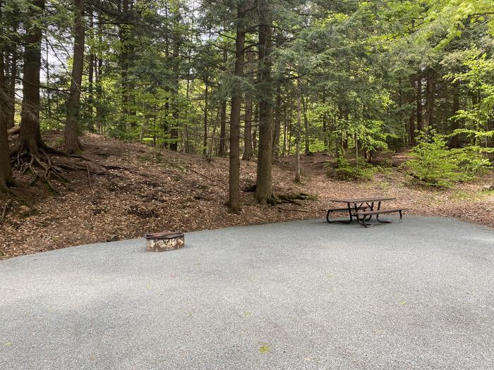 A photo of Site 024 of Loop HAPG at HAPGOOD POND with Picnic Table, Fire Pit, Shade