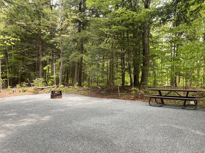 A photo of Site 003 of Loop HAPG at HAPGOOD POND with Picnic Table, Fire Pit, Shade