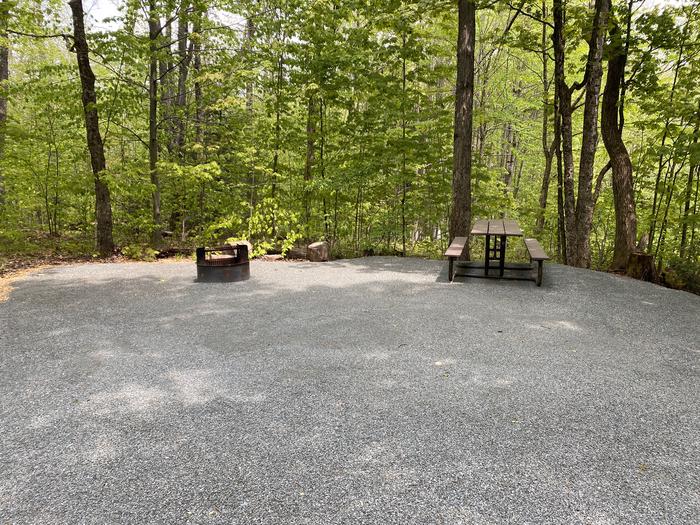 A photo of Site 023 of Loop HAPG at HAPGOOD POND with Picnic Table, Fire Pit, Shade