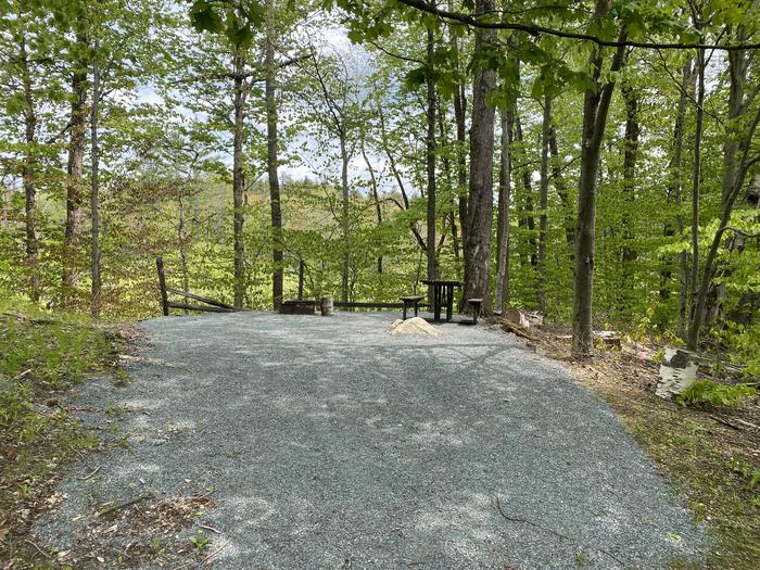 A photo of Site 019 of Loop HAPG at HAPGOOD POND with Picnic Table, Fire Pit, Shade