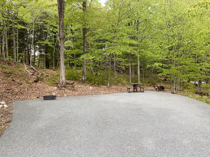 A photo of Site 028 of Loop HAPG at HAPGOOD POND with Picnic Table, Fire Pit, Shade