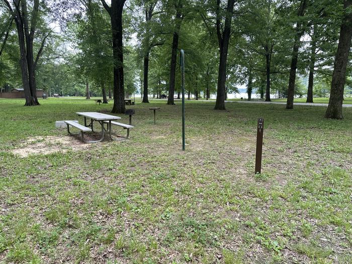 A photo of Site 8 of Loop  at Sleepy Bend Campground with Picnic Table, Fire Pit, Lantern Pole
