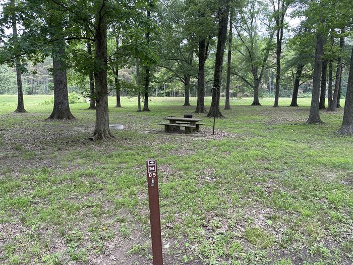 A photo of Site 5 of Loop  at Sleepy Bend Campground with Picnic Table, Fire Pit, Lantern Pole