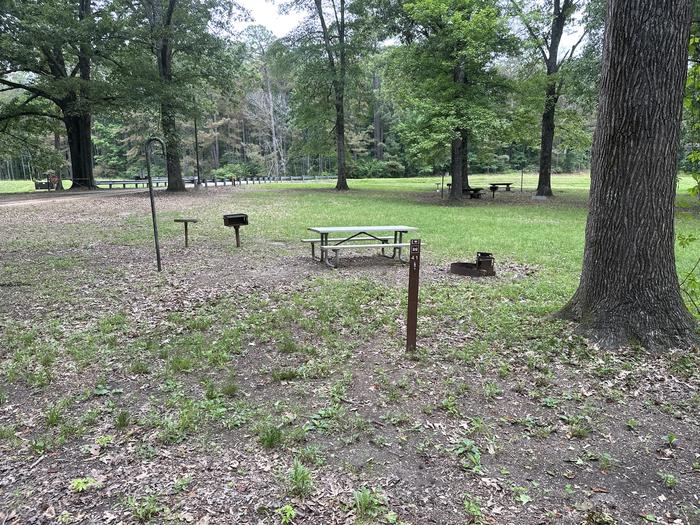 A photo of Site 41 of Loop  at Sleepy Bend Campground with Picnic Table, Fire Pit, Lantern Pole