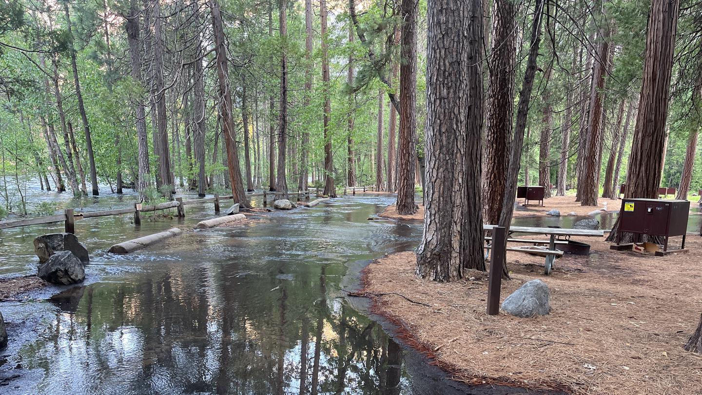 North Pines flooded campground