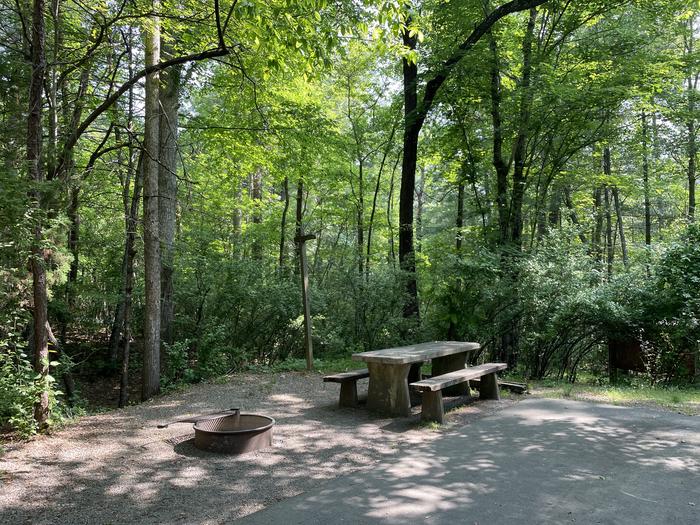 Lake Powhatan #41 Campsite - picnic table and fire pit 