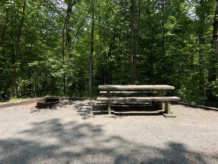 Lake Powhatan Campsite #61 - picnic table and fire pit 
