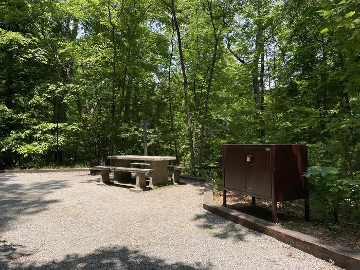Lake Powhatan Campsite #61 - bear box and picnic table 