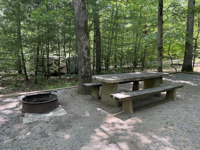 Lake Powhatan Hard Times #63 Campsite - fire pit and picnic table 