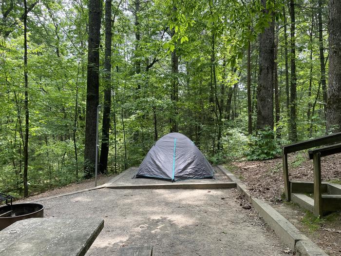 Lake Powhatan #008 Campsite - tent pad 