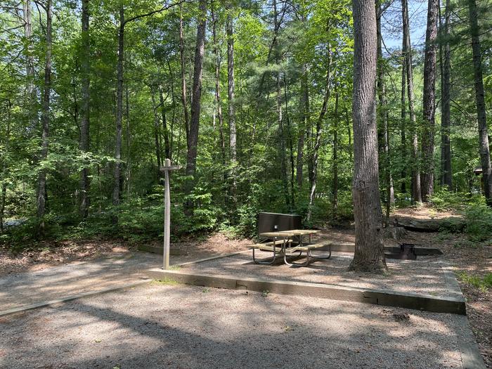 Lake Powhatan #22 Campsite - fire pit and picnic table 