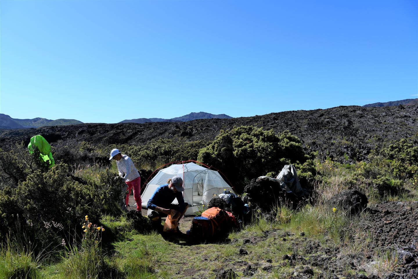 two campers pack up their camp with tent among grass and lava fieldTwo backpackers pack up their camp at Hōlua tent site 1.