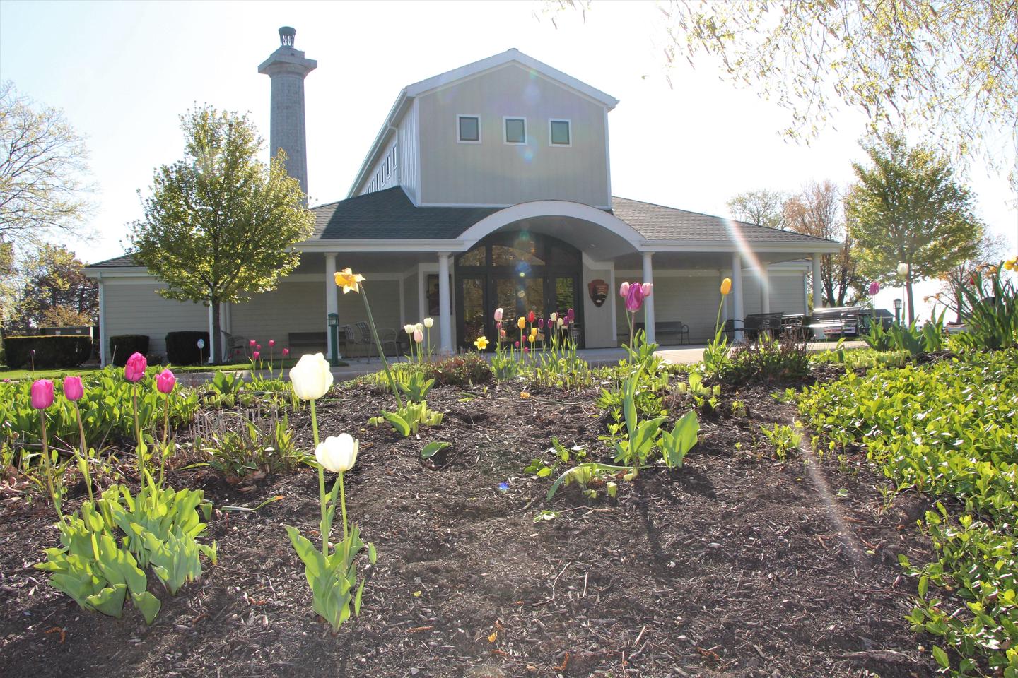 Visitor center and spring gardenTulips welcome spring and park staff back to the island.