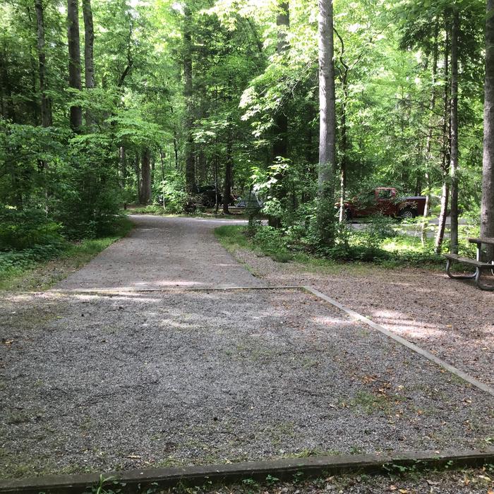 DAVIDSON RIVER Campground, Site 117, Hemlock Loop. Short distance to one of two bathhouses on the loop. Water spigot next to site. Wooded. Near English Chapel. Nearby trail along the Davidson River. 