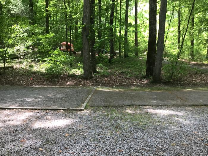 DAVIDSON RIVER Campground, Site 108, Poplar Loop. Three sites from bathhouse on the loop. Water spigot across the road. Wooded site. No generators on this loop. 