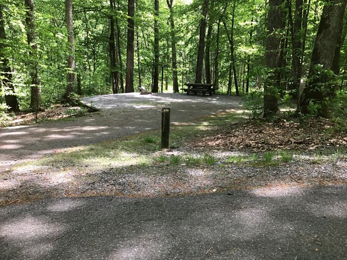 DAVIDSON RIVER Campground, Site 108, Poplar Loop. Three sites from bathhouse on the loop. Water spigot across the road. Wooded site. No generators on this loop. 