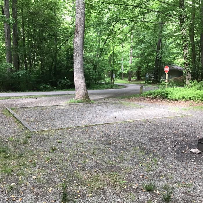 DAVIDSON RIVER Campground, Site 132, Hemlock Loop. Short distance to one of two bathhouses on the loop. Water spigot two sites away. Pull through site. Near English Chapel. Nearby trail along the Davidson River. 