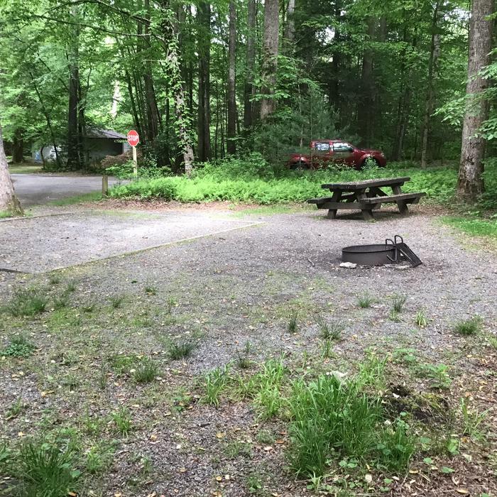 DAVIDSON RIVER Campground, Site 132, Hemlock Loop. Short distance to one of two bathhouses on the loop. Water spigot two sites away. Pull through site. Near English Chapel. Nearby trail along the Davidson River. 
