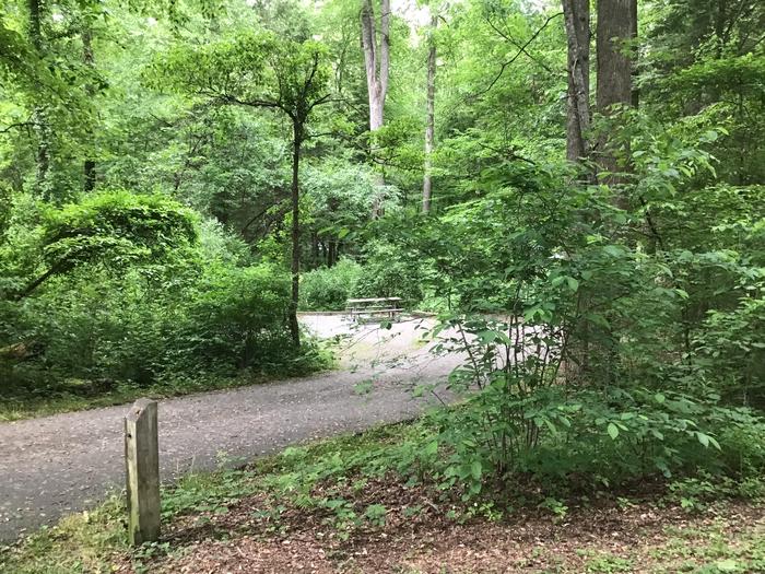 DAVIDSON RIVER Campground, Site133, Roadside Loop. Five sites from bathhouse on the loop. Water spigot one site away. Wooded site. 