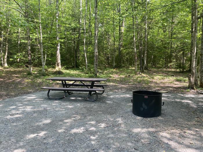 A photo of Site 17 of Loop  at Grout Pond Campground with Picnic Table, Fire Pit, Shade