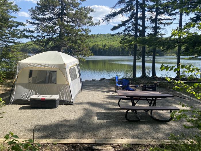 A photo of Site 1 of Loop  at Grout Pond Campground with Picnic Table, Shade, Waterfront