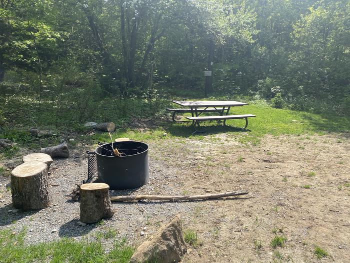 A photo of Site 12 of Loop  at Grout Pond Campground with Picnic Table, Fire Pit, Shade