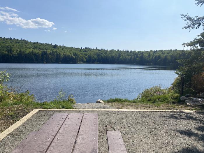 A photo of Site 2 of Loop  at Grout Pond Campground with Picnic Table, Tent Pad, Waterfront