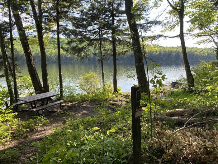 Site 7, Grout Pond Campground Recreation.gov