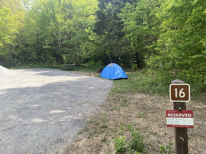A photo of Site 16 of Loop  at Grout Pond Campground with Picnic Table, Shade, Tent Pad