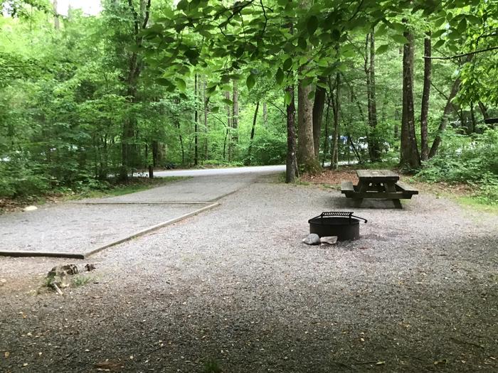 DAVIDSON RIVER Campground, Site143, Riverbend Loop. One site from bathhouse on the loop. Water spigot across from bathhouse. Wooded site. Site is located on Davidson River.