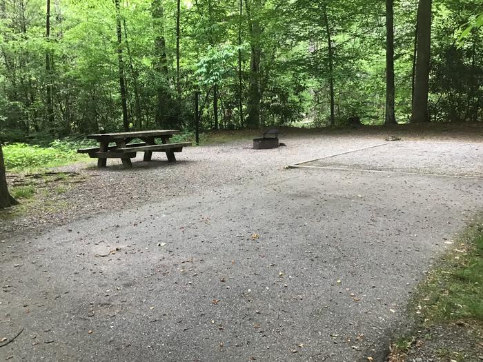 DAVIDSON RIVER Campground, Site143, Riverbend Loop. One site from bathhouse on the loop. Water spigot across from bathhouse. Wooded site. Site is located on Davidson River.