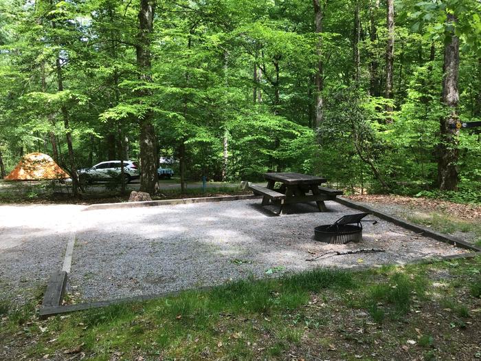 DAVIDSON RIVER Campground, Site110, Poplar Loop. Three sites from bathhouse on the loop. Water spigot next to site. Wooded site. No generators on this loop. 