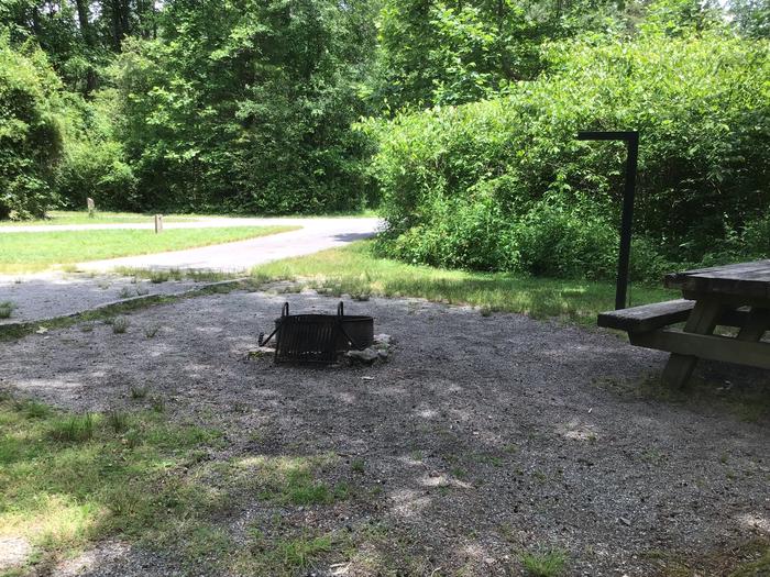 Davidson River Campground, Site 035, Appletree Loop. Water spigot next to site. Access to two bathhouses. 