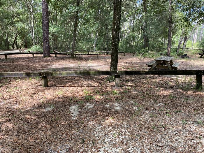 A photo of Site 1 of Loop Lake Delancy at Lake Delancy West Campground with Picnic Table, Lantern Pole