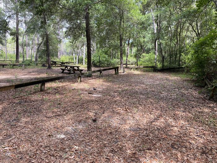 A photo of Site 1 of Loop Lake Delancy at Lake Delancy West Campground with Picnic Table, Lantern Pole