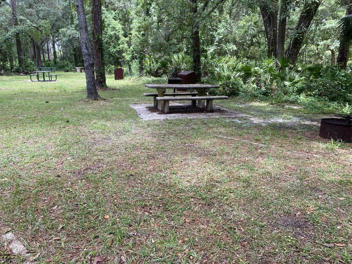 A photo of Site 2 of Loop Lake Dorr at Lake Dorr Campground with Picnic Table, Fire Pit, Shade, Food Storage