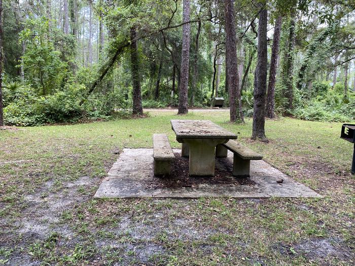 A photo of Site 2 of Loop Lake Dorr at Lake Dorr Campground with Picnic Table, Fire Pit, Shade, Food Storage