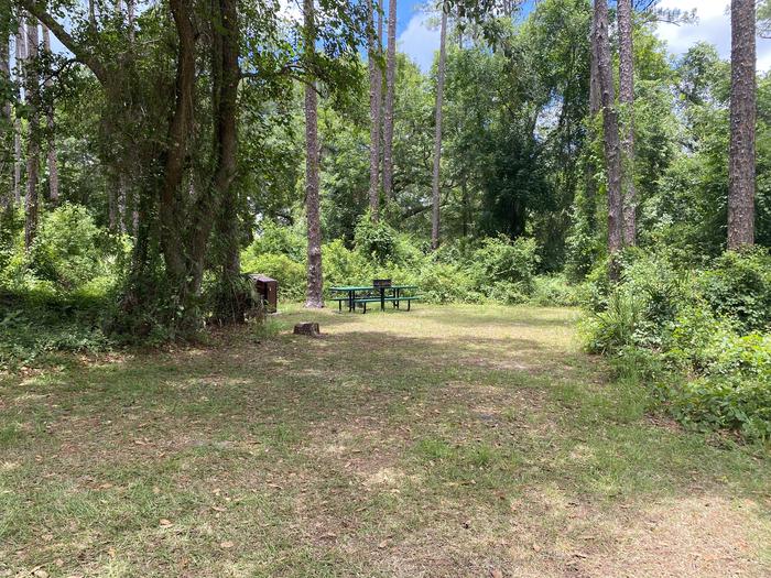 A photo of Site 13 of Loop Lake Dorr at Lake Dorr Campground with Picnic Table, Fire Pit, Shade, Food Storage