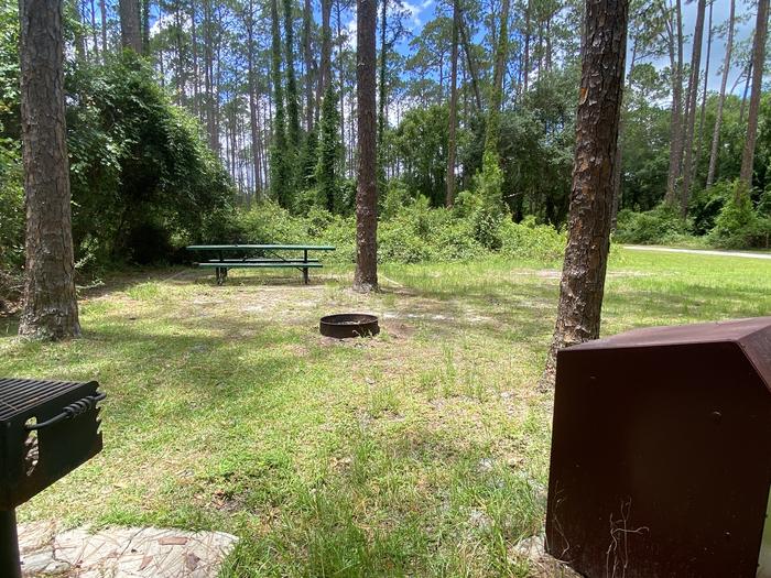 A photo of Site 11 of Loop Lake Dorr at Lake Dorr Campground with Picnic Table, Fire Pit, Food Storage