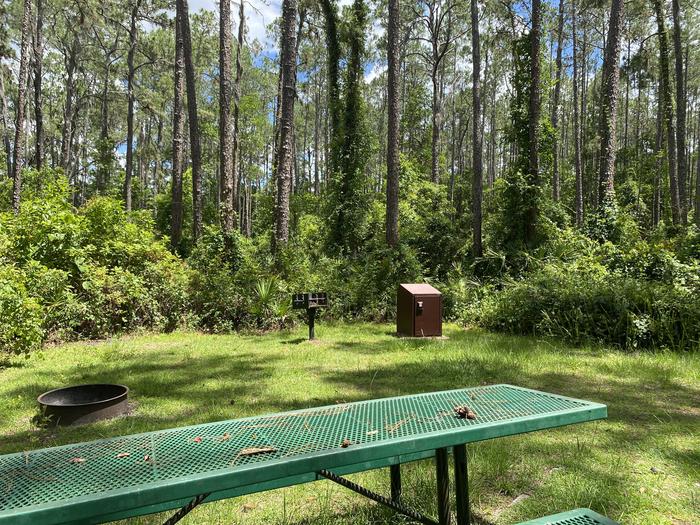 A photo of Site 31 of Loop Lake Dorr at Lake Dorr Campground with Picnic Table, Fire Pit, Shade, Food Storage