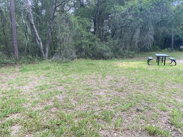A photo of Site 1 of Loop Big Bass Campground at Big Bass Campground (FL) with Picnic Table, Fire Pit, Lantern Pole