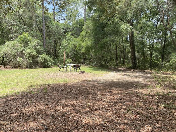 A photo of Site 2 of Loop Big Bass Campground at Big Bass Campground (FL) with Picnic Table, Fire Pit, Shade, Lantern Pole