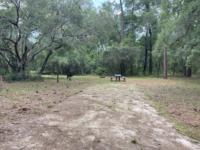 A photo of Site 4 of Loop Big Bass Campground at Big Bass Campground (FL) with Picnic Table, Fire Pit, Shade, Lantern Pole