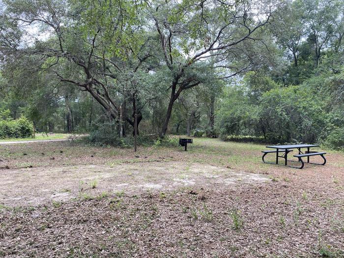 A photo of Site 4 of Loop Big Bass Campground at Big Bass Campground (FL) with Picnic Table, Fire Pit, Shade, Lantern Pole